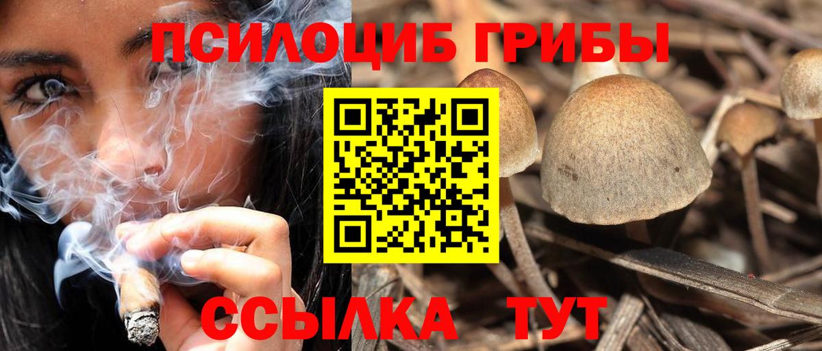 Галлюциногенные грибы мицелий Псков